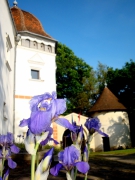 DSC03570